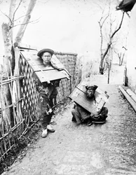 Chinese Prisoners, c.1880